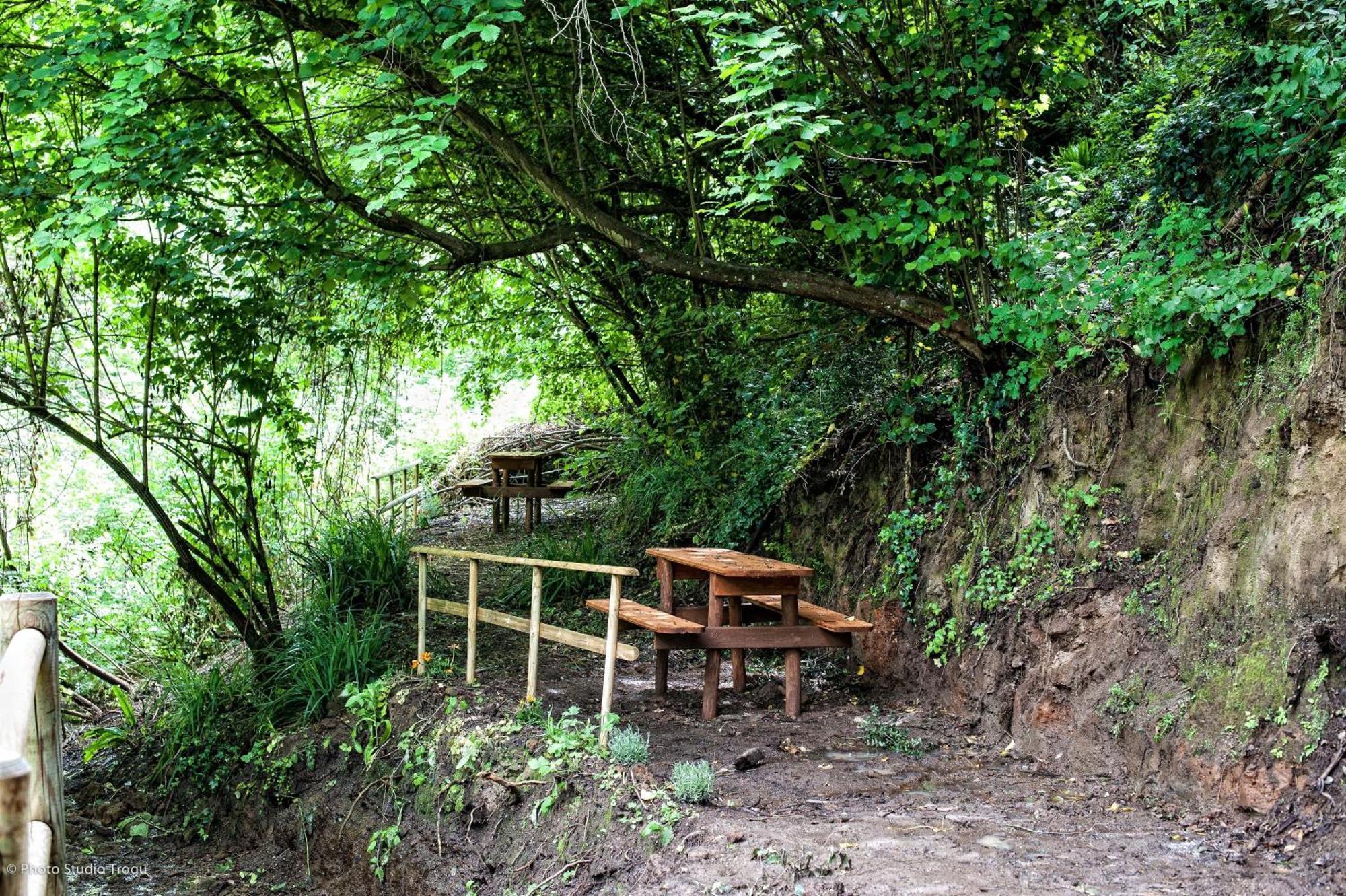 Il Giardino Dei Flintstones B&B Cerveteri Ngoại thất bức ảnh