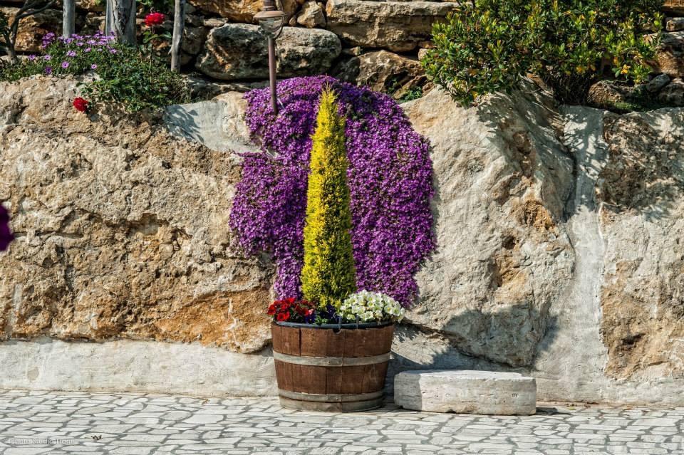 Il Giardino Dei Flintstones B&B Cerveteri Ngoại thất bức ảnh