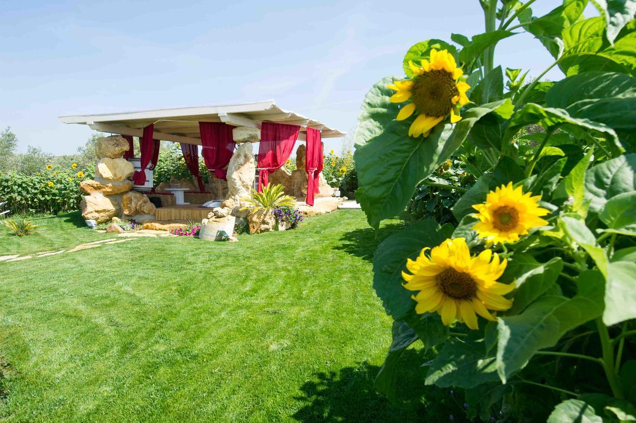 Il Giardino Dei Flintstones B&B Cerveteri Ngoại thất bức ảnh